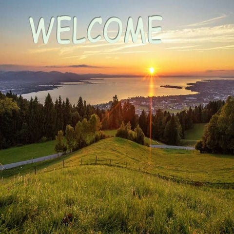 Incretins In Diabetes Mellitus