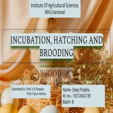 Incubation, hatching and  brooding