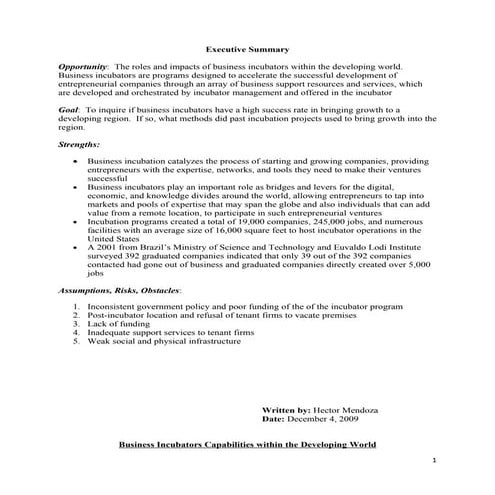 Business Incubators Capabilities within the Developing World