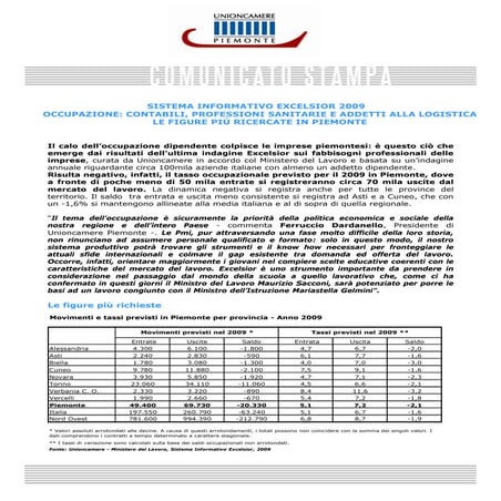 Indagine Excelsior 2009