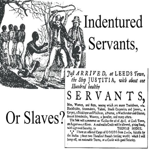Indentured servants or slaves