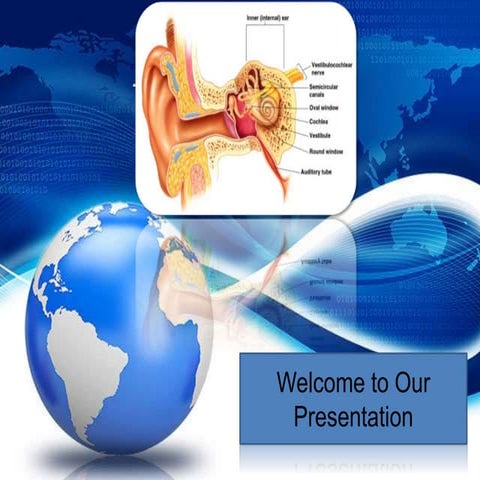 Indera Pendengaran (Telinga)
