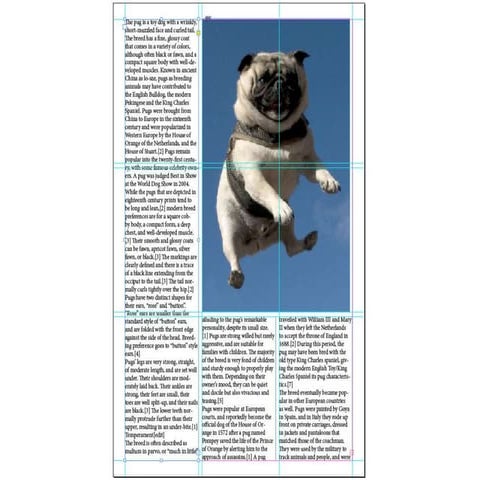 Cosmopolitan task 6 | PPTX