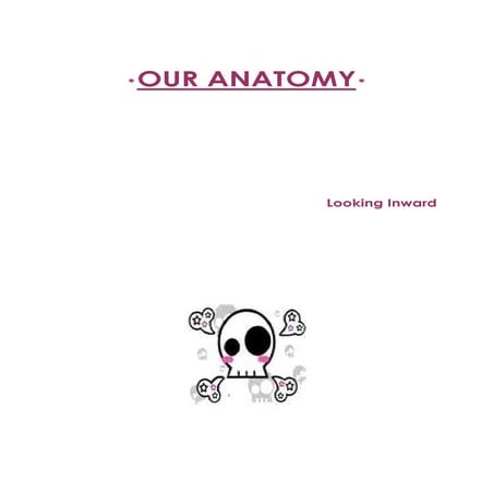Index anatomy manual