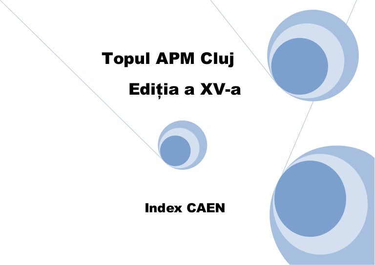Index Caen Domeniile De PerformanÅ£Ä In Afaceri A Companiilor Clujene