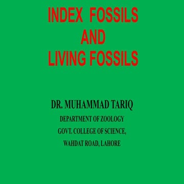 Index fossils & living fossils