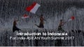 The Rise of Millennials in Indonesia - Presentation at India ASEAN Youth Summit 2017