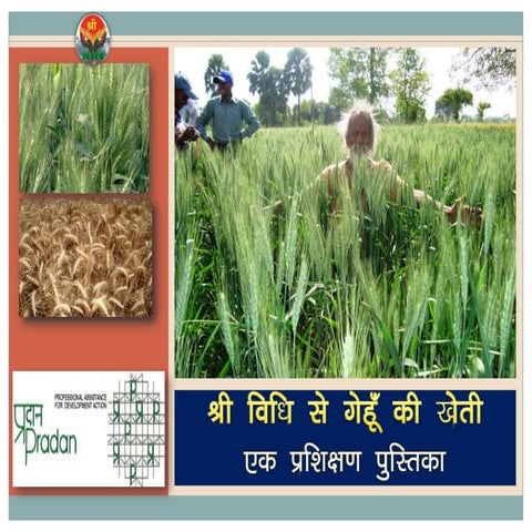 SWI manual in Hindi - Bihar, India