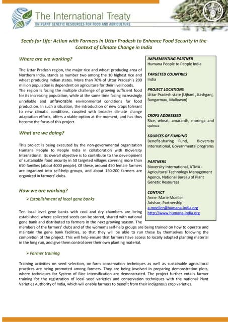 India Final Brief-Edited