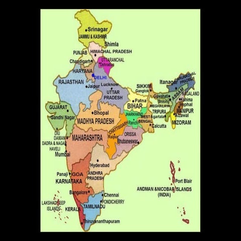 Assam and Darjeeling Brown Bag