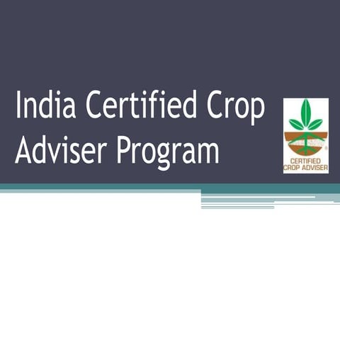 India CCA Presentation