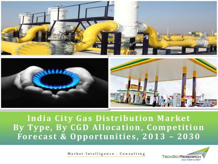 India City Gas Distribution Market Forecast 2030 brochure