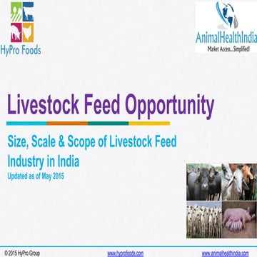 Animal Feed Industry in India / Livestock Feed Industry / Poultry Feed Industry