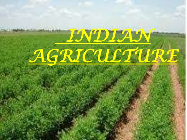 Indian agriculture