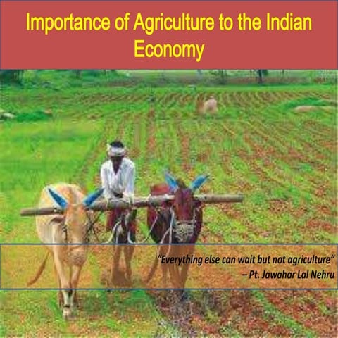 Indian agriculture sector