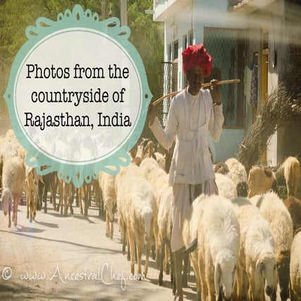Photos from the countryside of Rajasthan, India | PDF