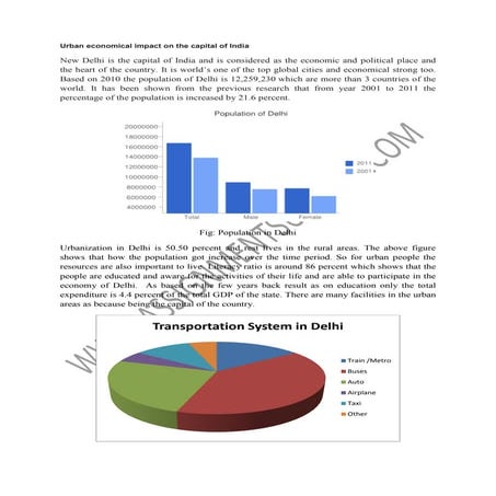 Indian economics essay sample from assignmentsupport.com essay writing services 