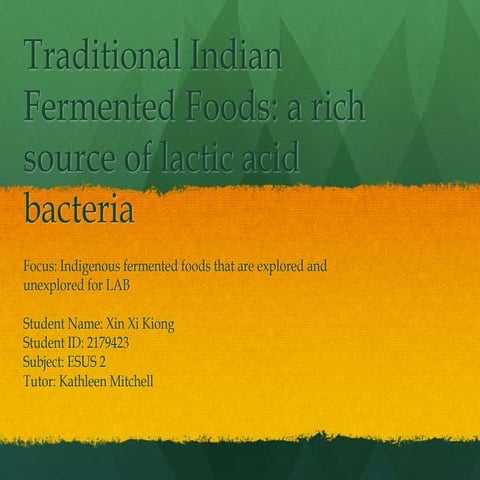 Indian fermented food  (1)