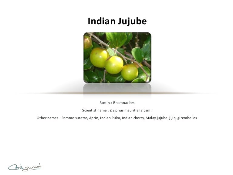 What is Indian jujube? What is pomme surette?