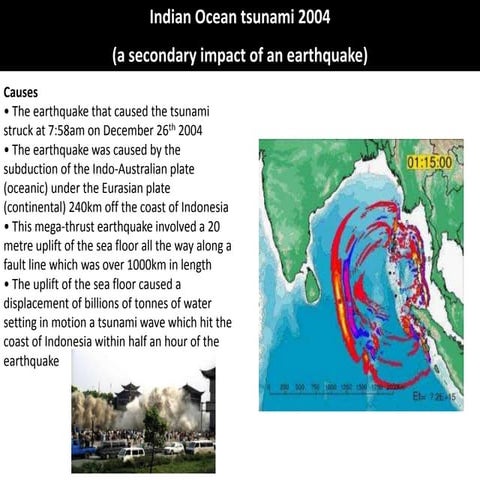 Indian ocean tsunami case study