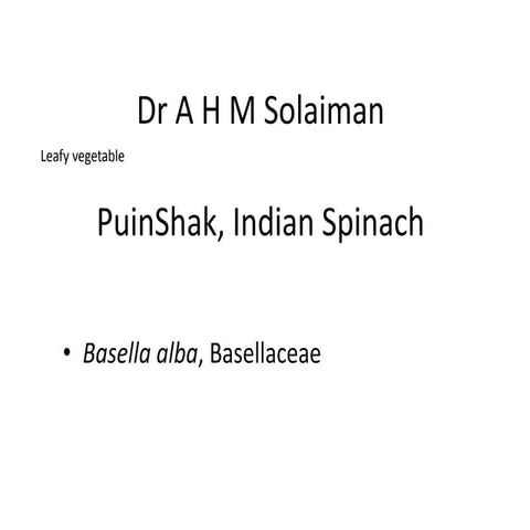 Solaiman supply chain flow chart | PPT