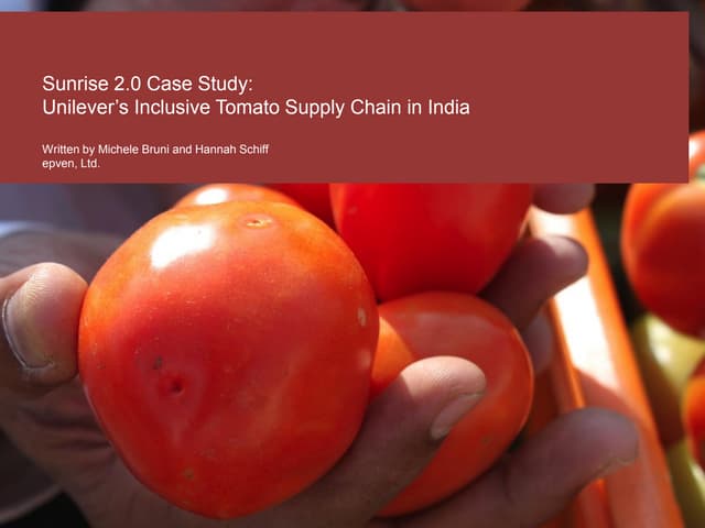 Sunrise 2.0 Case Study: Unilever’s Inclusive Tomato Supply Chain in India