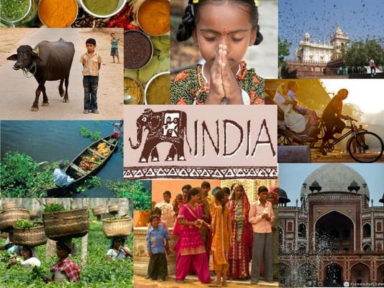 The diversity of india | PPTX