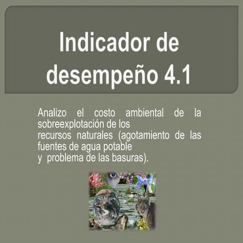 Indicador de desempeño 4.1 dvykt..