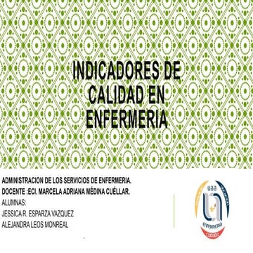 Indicadores de calidad en enfermeria | PPT