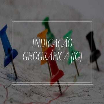 Indicações Geográficas 3.pptx