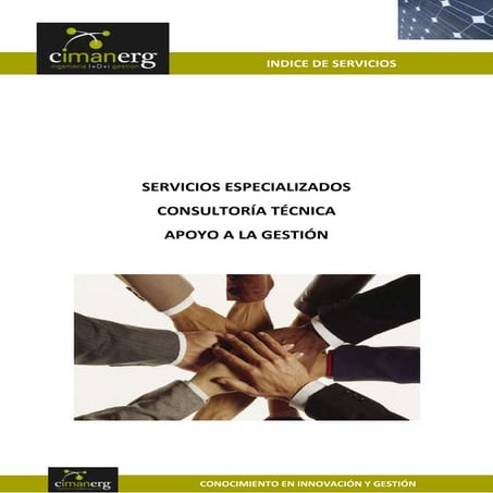 Indice de servicios 2013