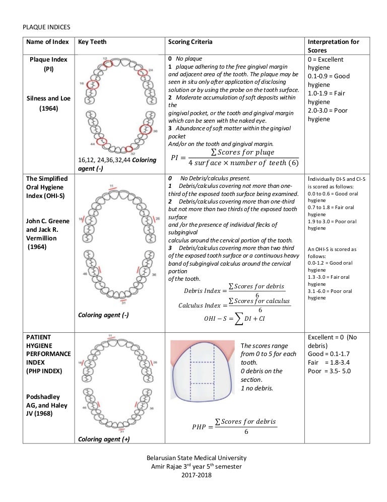 Plaque Free Score Chart