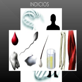 Indicios en la Criminalistica ( Bas...