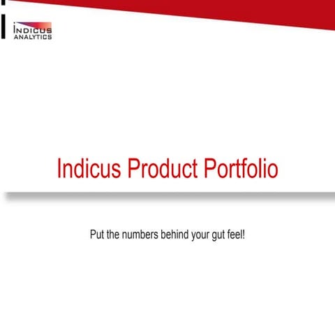 Indicus product portfolio 2013 14