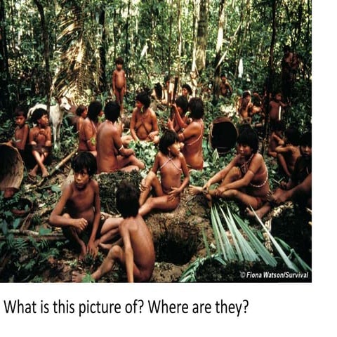 Indigenous assimilation | PPTX