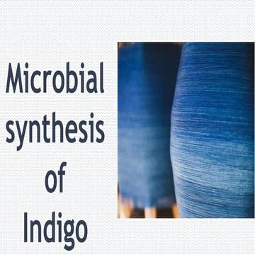 Microbial Synthesis of Indigo