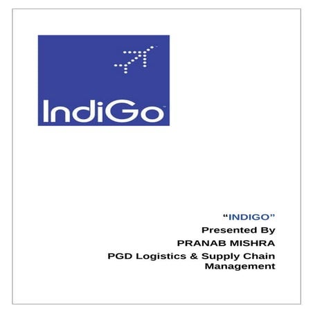 Indigo final report