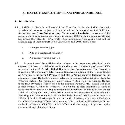 Indigo strategy execution plan short