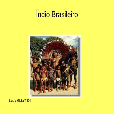 Entendendo a Diversidade e Terminologia dos Povos Indígenas no Brasil ...