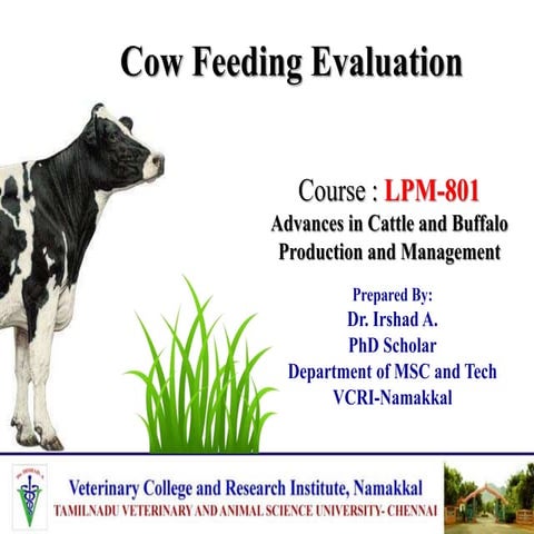 Cow Feeding Evaluation