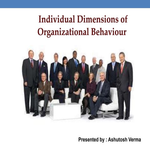Individual dimensions of organizational behavior