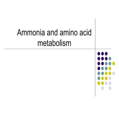 Individual path of aminoacids