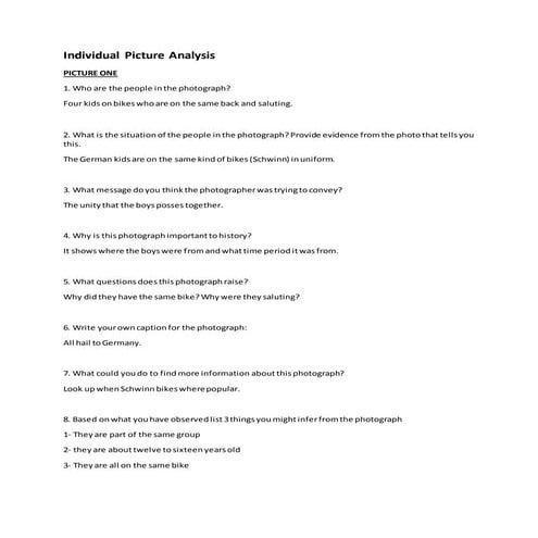 Individual picture analysis 
