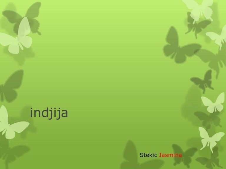 Indjija град који волим