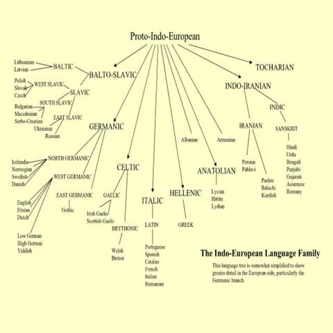Indo-European Language Tree | PDF