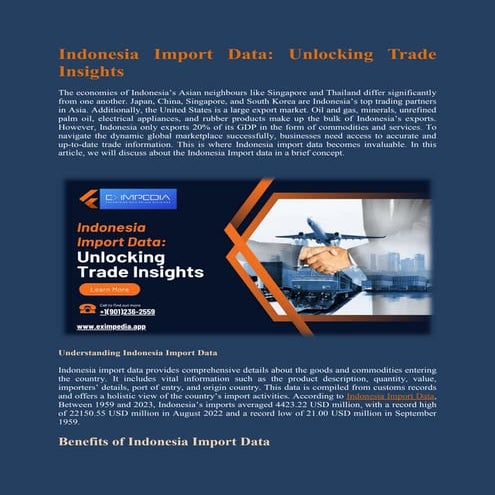 Indonesia Import Data Unlocking Trade Insights .pdf