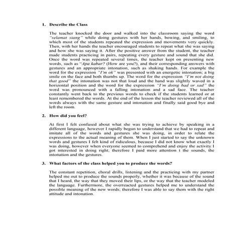 Indonesian class experience