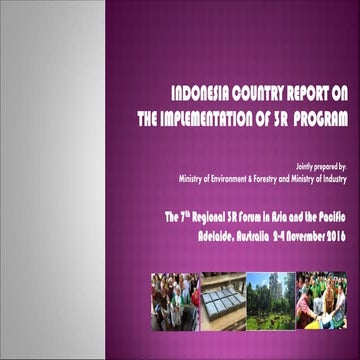 Indonesia Report | PDF