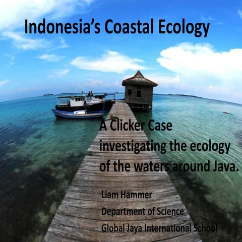 Indonesias coastal ecology