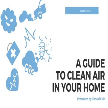 Causes, Effects & Solutions to Air Pollution | PDF
